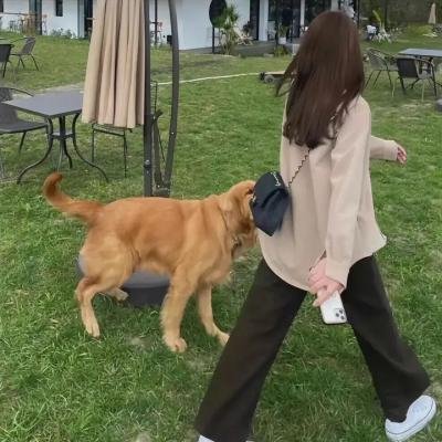 不结婚